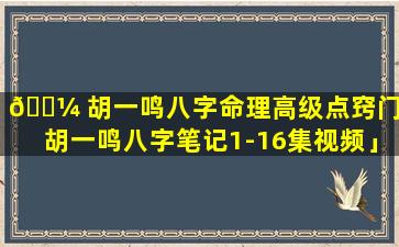 🌼 胡一鸣八字命理高级点窍门「胡一鸣八字笔记1-16集视频」